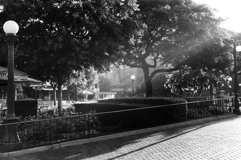 The Jolley Holiday early in the morning - Disneyland