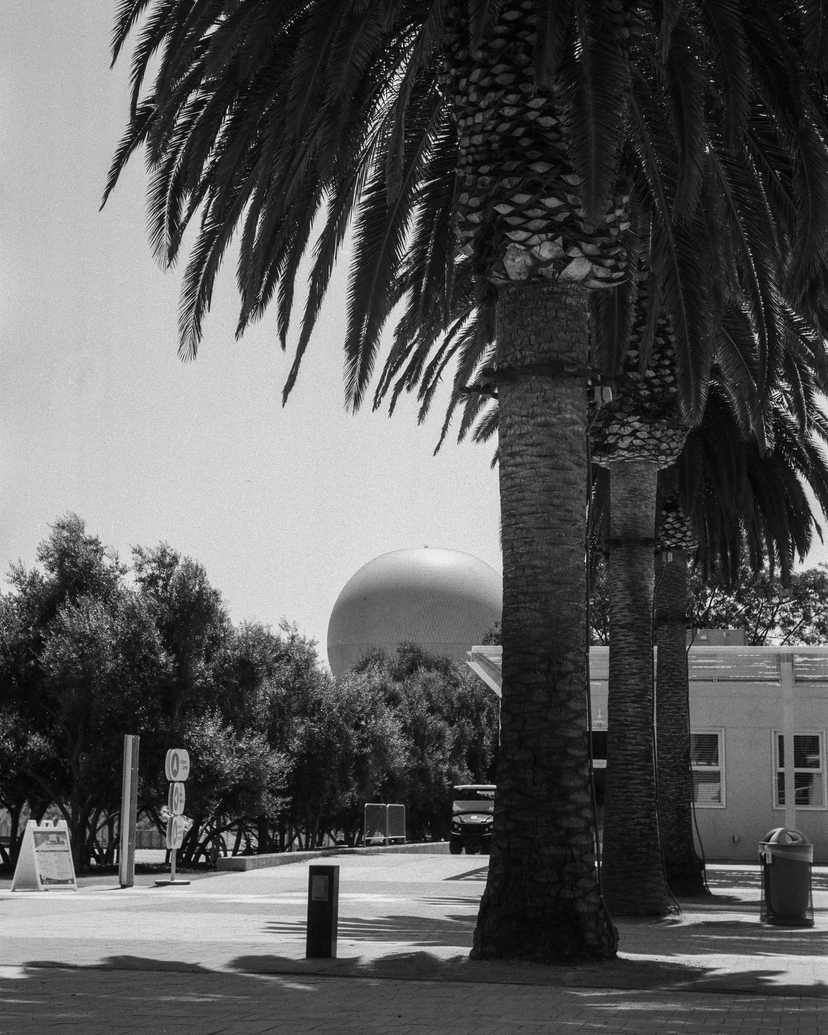 Hot air balloon behind the trees - Irvine Great Park