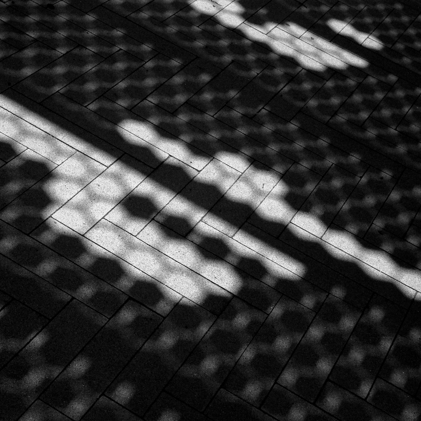 Shadows on the ground - Irvine Great Park