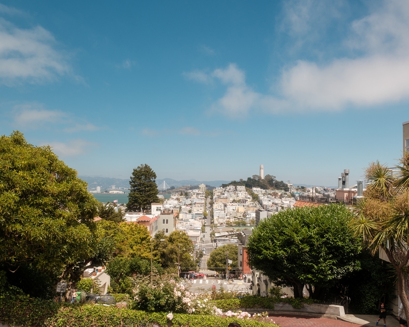 Overlooking Fisherman's Wharf from Lombard St. - San Francisco, CA